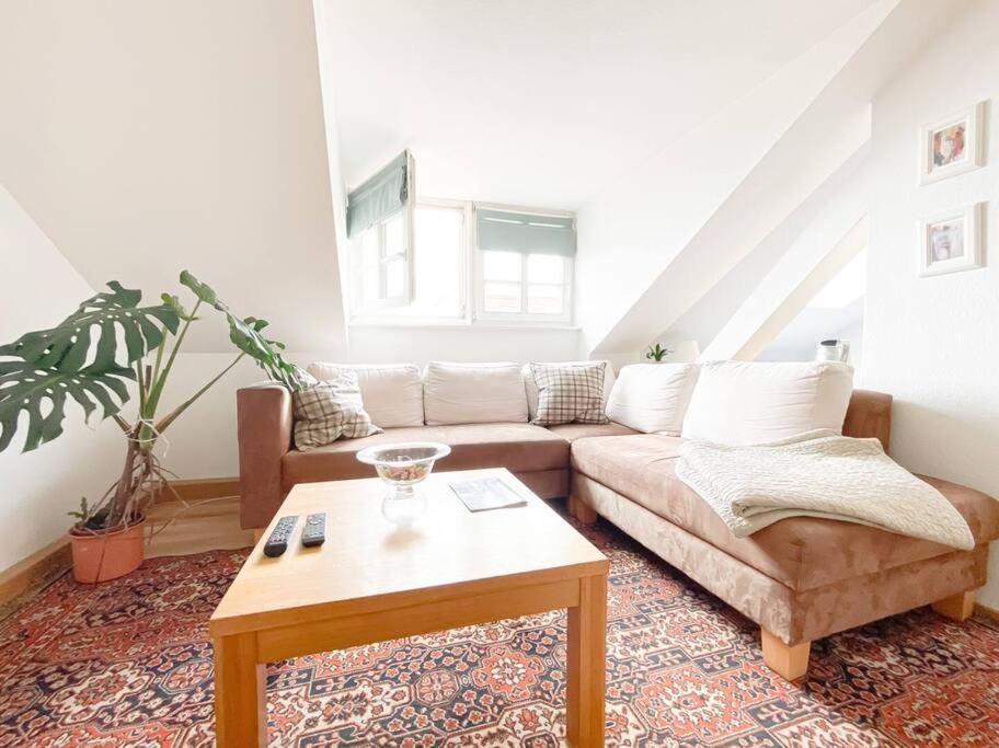 לייפציג Schoene Ferienwohnung Mit Blick Ueber Stadtwald מראה חיצוני תמונה